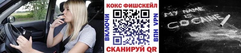 Купить где  Магас  COCAIN Columbia 