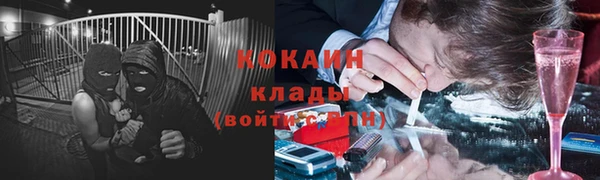 хмурый Бородино