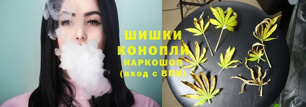 ПСИЛОЦИБИНОВЫЕ ГРИБЫ Бронницы