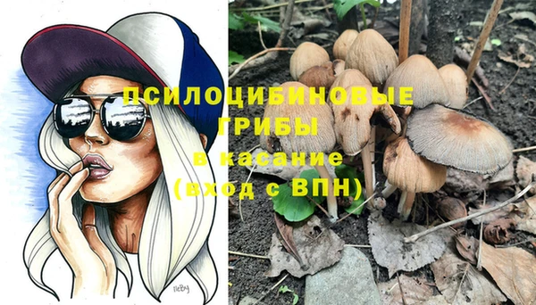 МДПВ Бугульма
