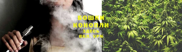 хмурый Бородино