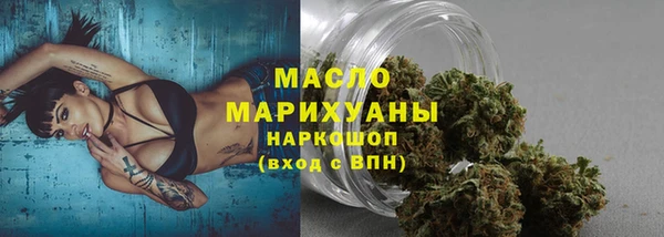 хмурый Бородино